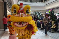 27&28.02.2026 Brent Cross CNY Celebrations